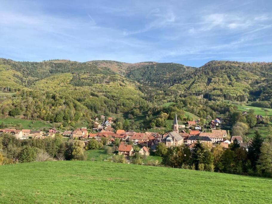 Logement Chaleureux, Vallee De Ville Steige Buitenkant foto